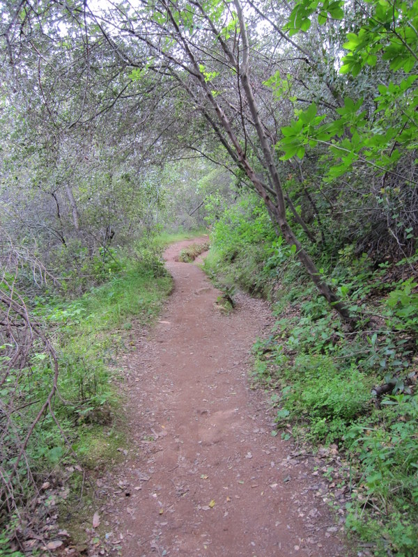 stebbins-cold-canyon-4-3-100