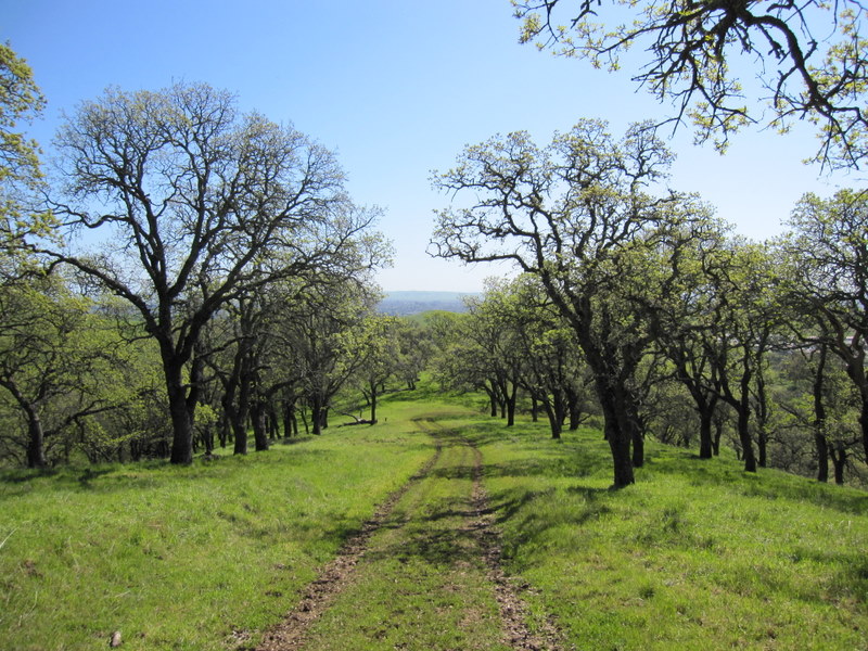 fairfield-open-space-3-7-10-030