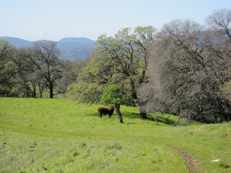 fairfield-open-space-3-7-10-034