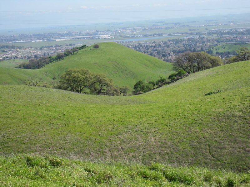 fairfield-open-space-3-7-10-040