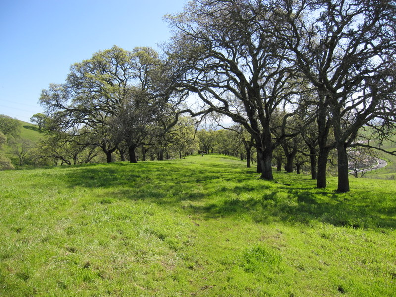 fairfield-open-space-3-7-10-045