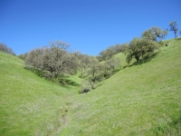 fairfield-open-space-3-7-10-016