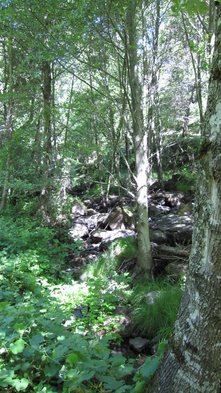 green-valley-falls-6-12-10-025