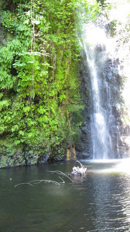 green-valley-falls-6-12-10-117