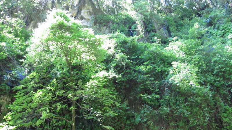 green-valley-falls-6-12-10-122