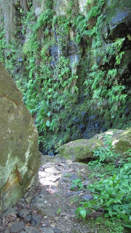 green-valley-falls-6-12-10-128