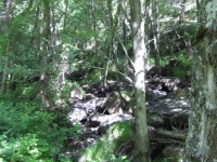 green-valley-falls-6-12-10-025