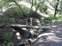 green-valley-falls-6-12-10-059