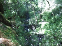 green-valley-falls-6-12-10-081