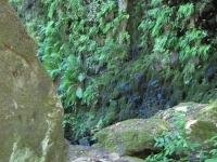 green-valley-falls-6-12-10-128