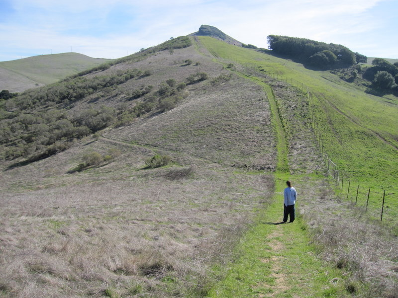 hiddenbrook-bay-ridge-trail-2-11-11-017