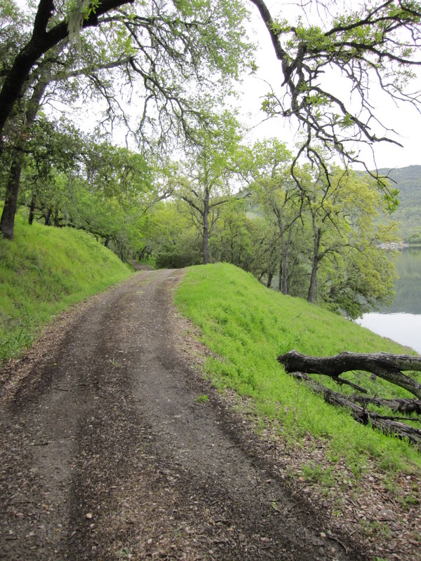 lake-hennessey-4-3-10-035