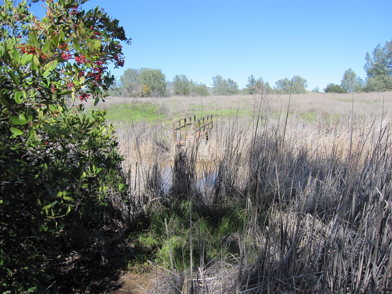 lake-solano-2-27-11-029