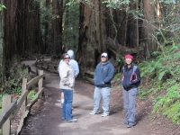 muir-woods-3-27-10-007