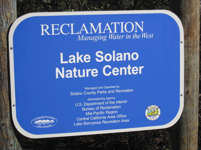 lake-solano-2-27-11-002