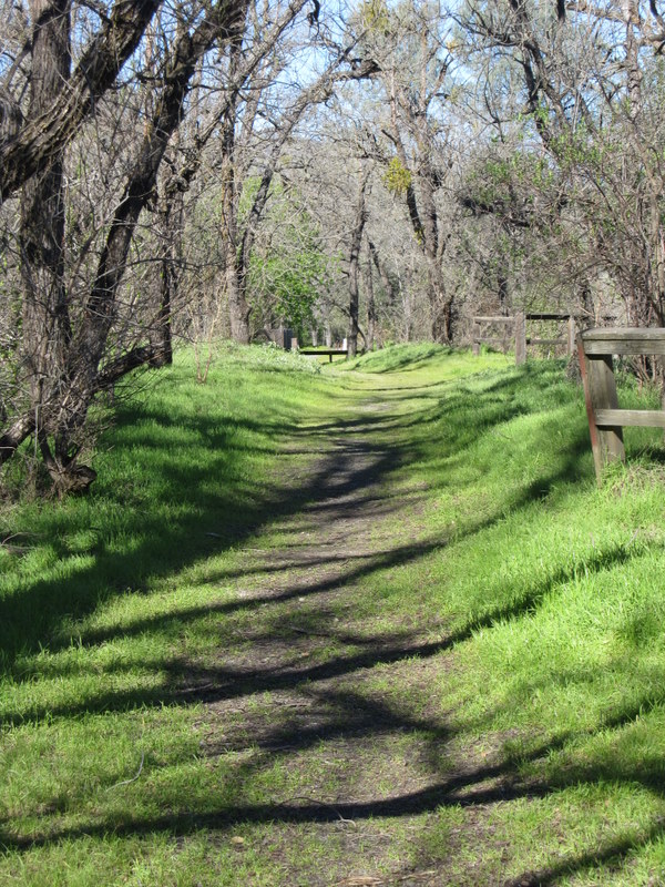 lake-solano-2-27-11-010