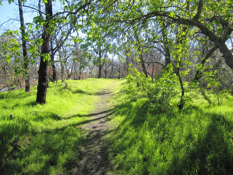 lake-solano-2-27-11-012