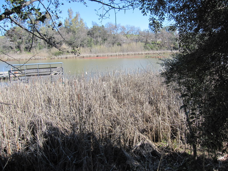 lake-solano-2-27-11-019