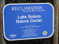 lake-solano-2-27-11-002