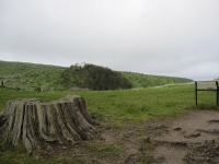 tomales-bay-point-reyes-4-17-10-002