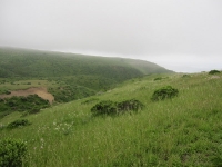 tomales-bay-point-reyes-4-17-10-012