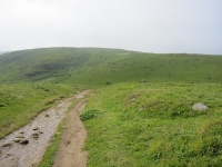 tomales-bay-point-reyes-4-17-10-043