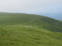 tomales-bay-point-reyes-4-17-10-047