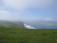 tomales-bay-point-reyes-4-17-10-050