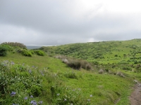 tomales-bay-point-reyes-4-17-10-075