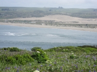 tomales-bay-point-reyes-4-17-10-086