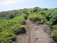 tomales-bay-point-reyes-4-17-10-130