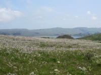 tomales-bay-point-reyes-4-17-10-132