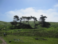 tomales-bay-point-reyes-4-17-10-136