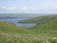 tomales-bay-point-reyes-4-17-10-141