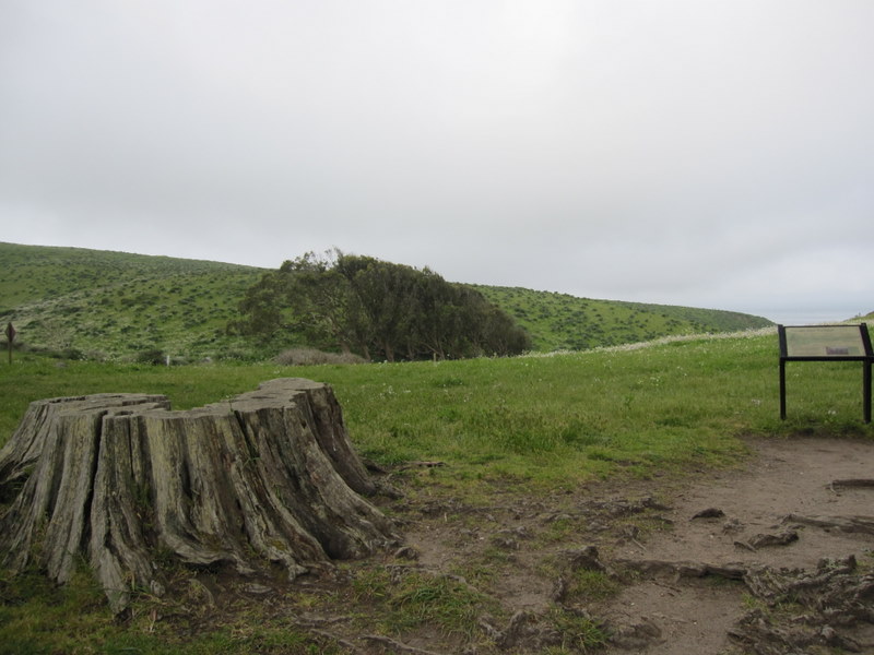 tomales-bay-point-reyes-4-17-10-002