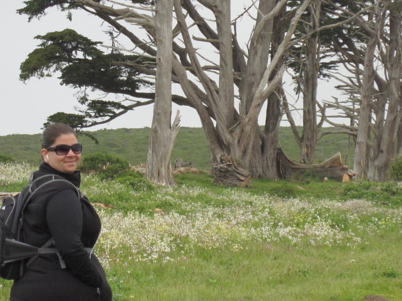 tomales-bay-point-reyes-4-17-10-005