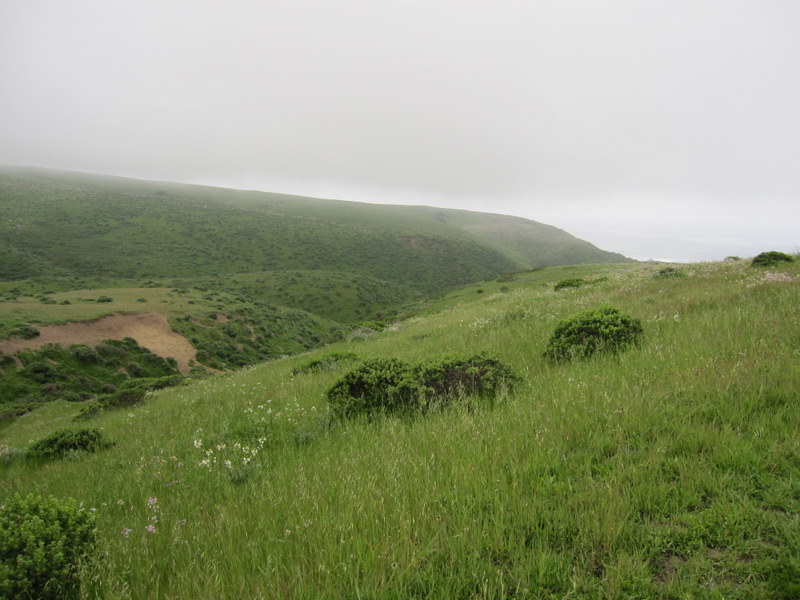 tomales-bay-point-reyes-4-17-10-012