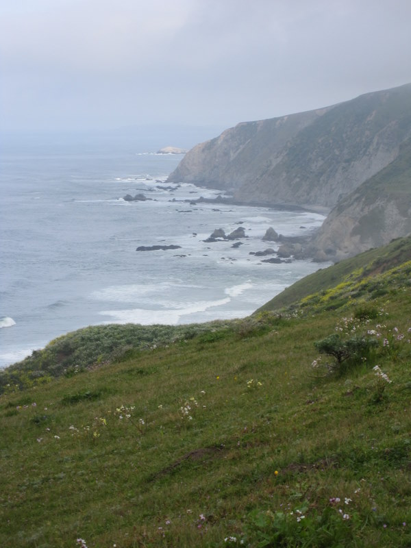 tomales-bay-point-reyes-4-17-10-022