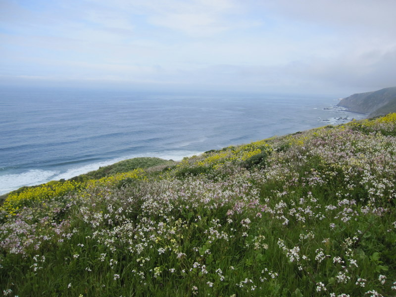 tomales-bay-point-reyes-4-17-10-023