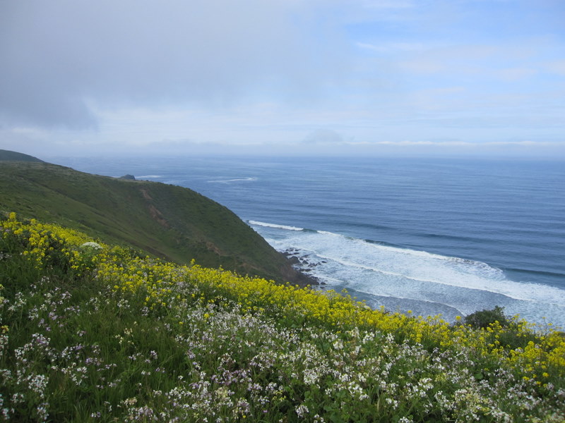 tomales-bay-point-reyes-4-17-10-025