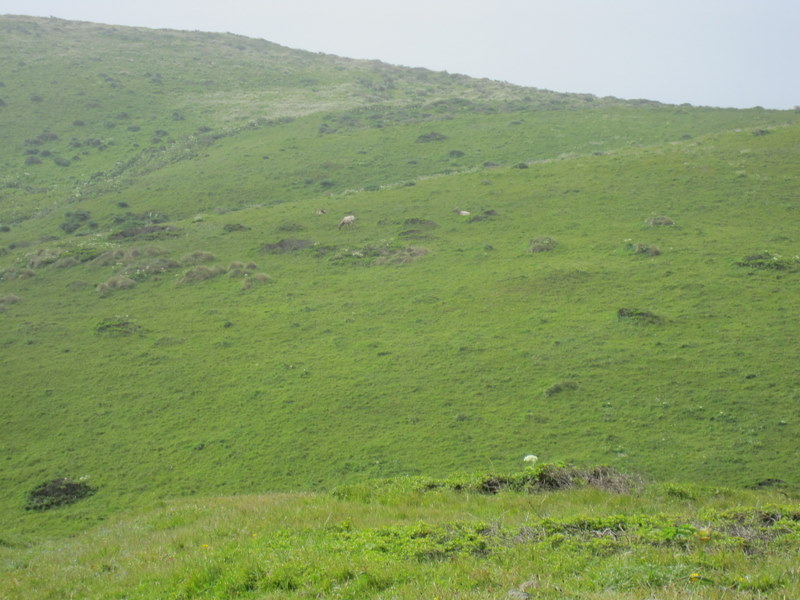 tomales-bay-point-reyes-4-17-10-044