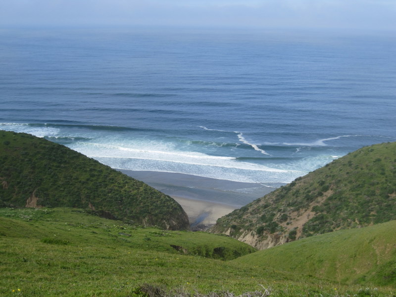 tomales-bay-point-reyes-4-17-10-046