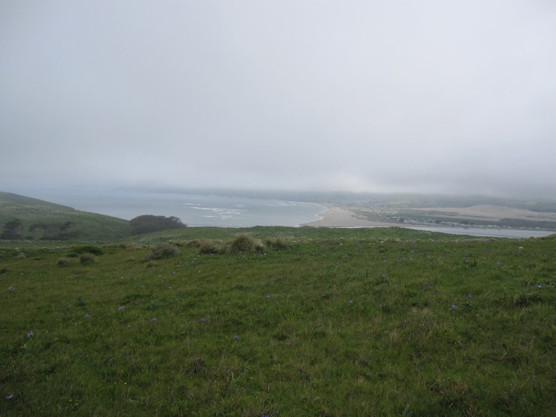 tomales-bay-point-reyes-4-17-10-066