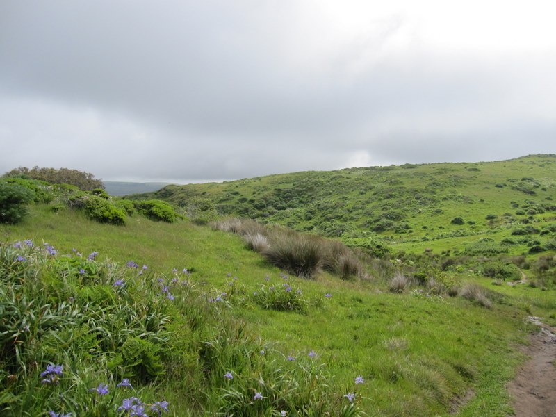 tomales-bay-point-reyes-4-17-10-075