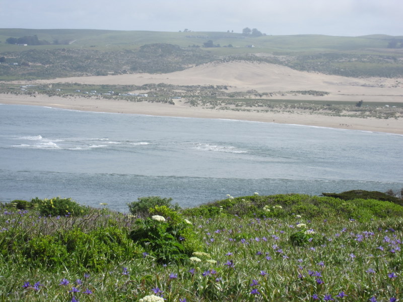 tomales-bay-point-reyes-4-17-10-086