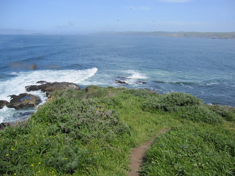 tomales-bay-point-reyes-4-17-10-118