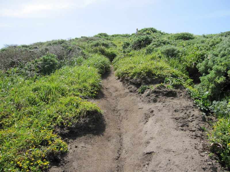 tomales-bay-point-reyes-4-17-10-130