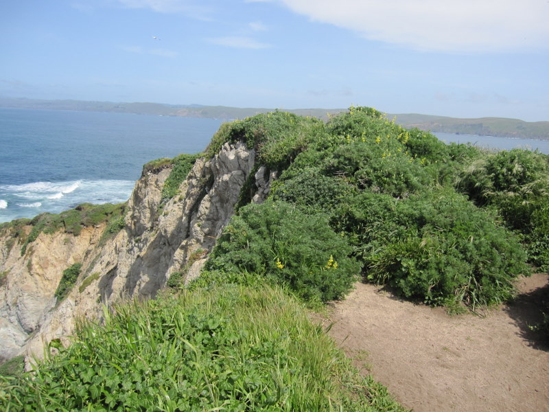 tomales-bay-point-reyes-4-17-10-131